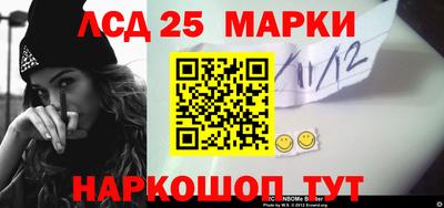 ешки Сланцы