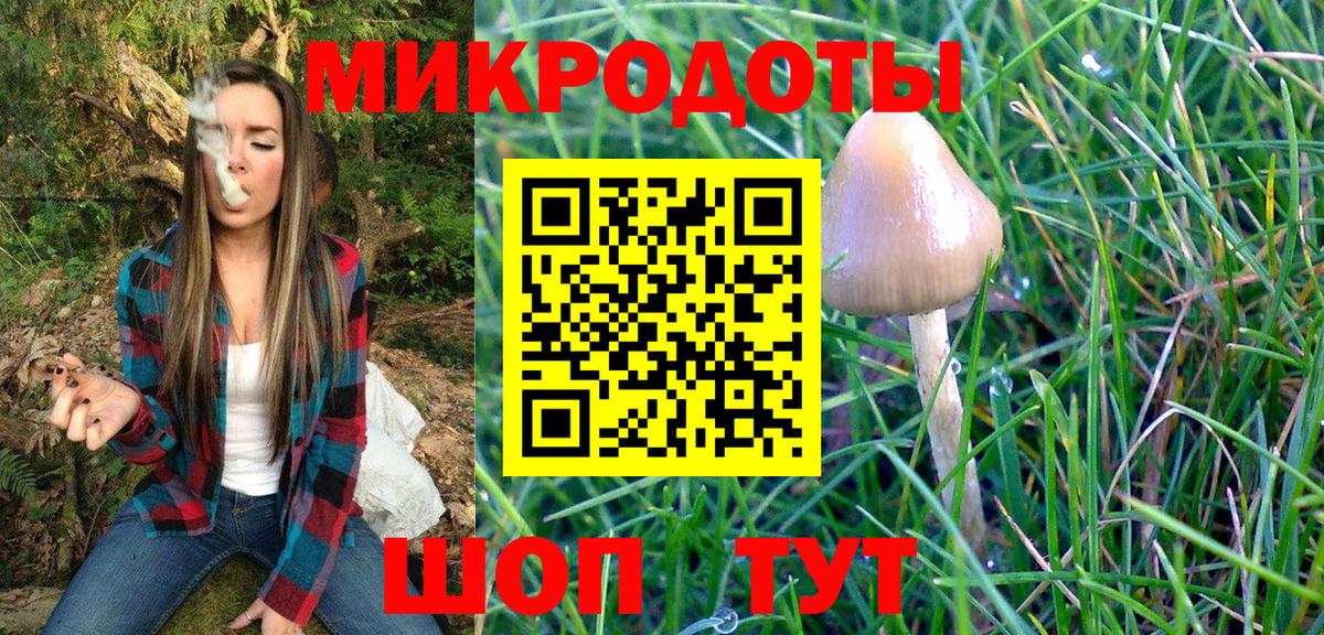 Галлюциногенные грибы MAGIC MUSHROOMS  Галлюциногенные грибы GOLDEN TEACHER  Северобайкальск  где продают   Вход с VPN 